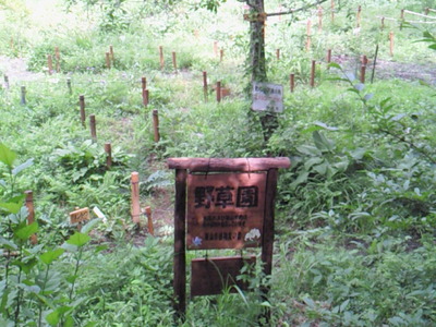 野草園